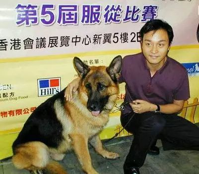 張國榮當年離世後，是誰幫他把愛犬養了8年？ 寵物 第5張