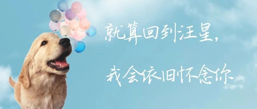 如果有一天注定要分别，狗狗真的会记得你么？