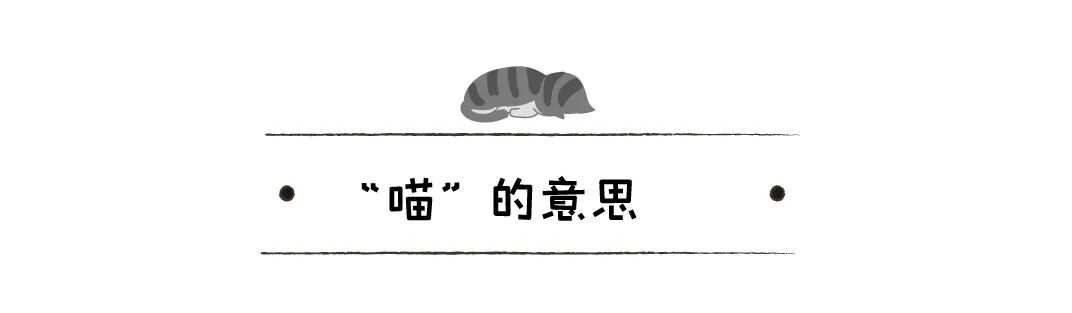 你「喵」一聲，貓「喵」一聲，貓在說什麼？揭秘「喵」的6種含義 寵物 第7張