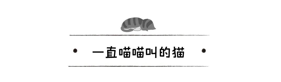 你「喵」一聲，貓「喵」一聲，貓在說什麼？揭秘「喵」的6種含義 寵物 第22張