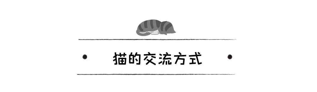 你「喵」一聲，貓「喵」一聲，貓在說什麼？揭秘「喵」的6種含義 寵物 第4張