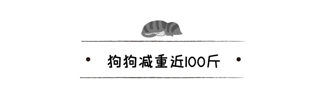 160斤金毛被主人送去安樂死被醫生拒絕，好心人：你不養我養！ 寵物 第16張