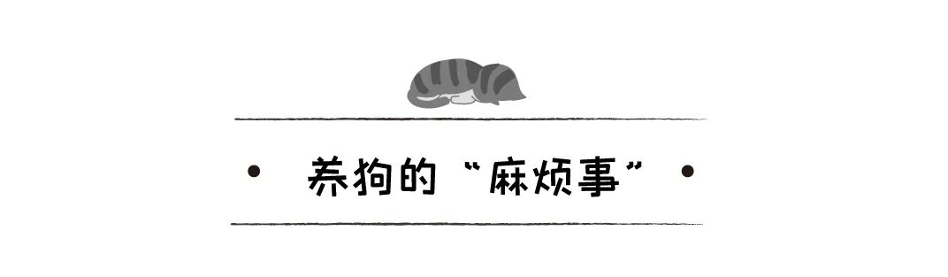 禽獸主人兇狠狗狗，被救後的它發抖、自閉、尿失禁、隻敢縮在牆角 寵物 第25張