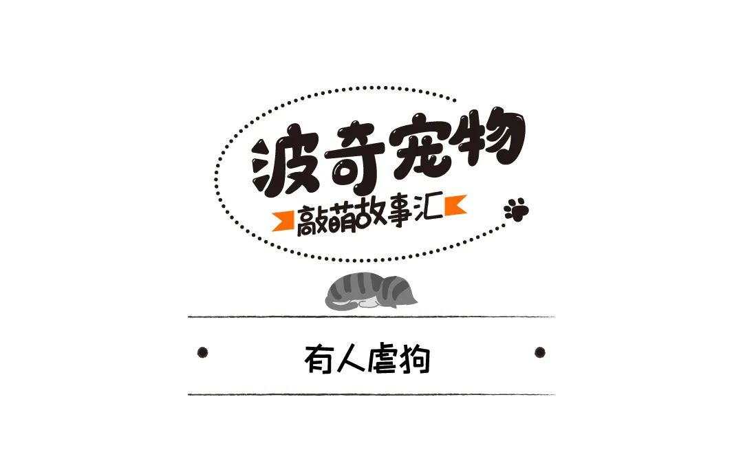 禽獸主人兇狠狗狗，被救後的它發抖、自閉、尿失禁、隻敢縮在牆角 寵物 第2張