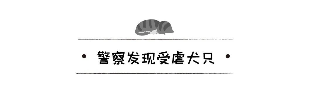 禽獸主人兇狠狗狗，被救後的它發抖、自閉、尿失禁、隻敢縮在牆角 寵物 第8張