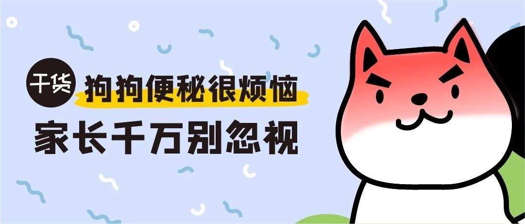 蹲到脚麻也拉不出来，狗狗真的好难受！