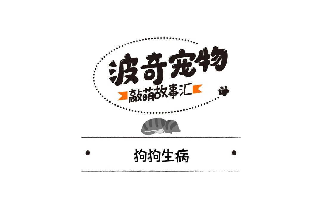 不喂狗不送醫，狗狗吞下抹布，三周後死亡，主人被判10年禁止養寵 寵物 第2張