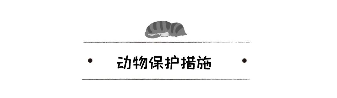 不喂狗不送醫，狗狗吞下抹布，三周後死亡，主人被判10年禁止養寵 寵物 第16張