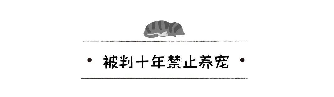 不喂狗不送醫，狗狗吞下抹布，三周後死亡，主人被判10年禁止養寵 寵物 第13張