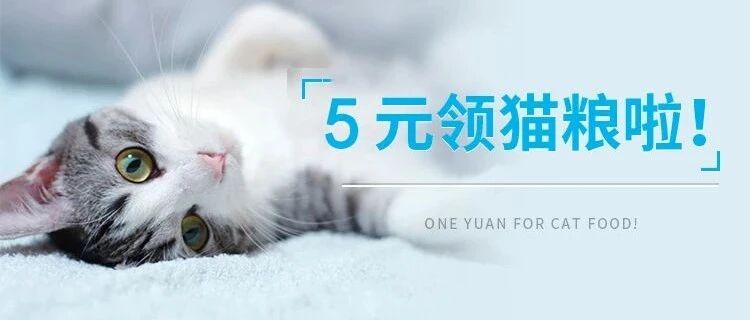 新晋傲娇猫猫最爱口粮？ ｜ 进来5元领豆柴新品试吃啦～