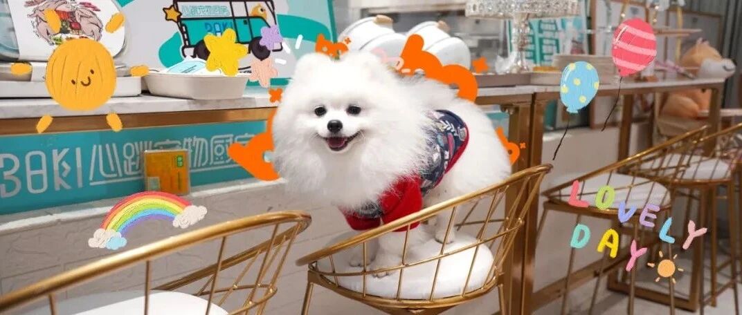 9.25波奇会员活动回顾 | 是你可爱了整个秋天~