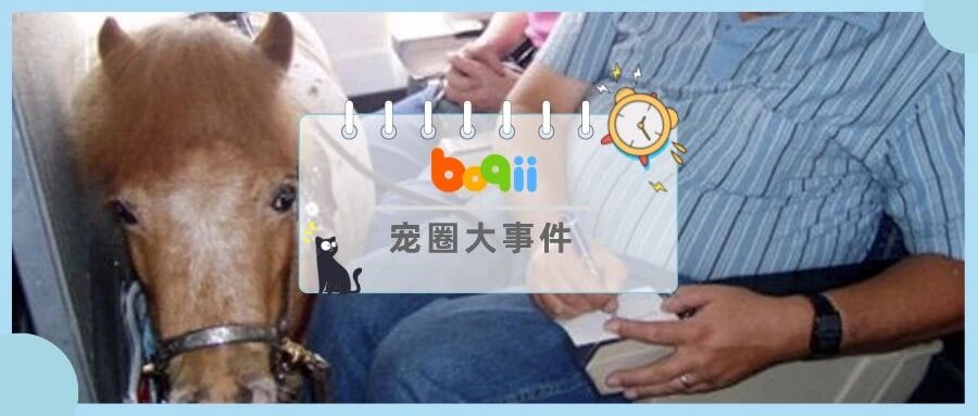 太222了吧！为了把各种稀奇古怪的动物带上飞机，他们不惜假装残疾人…