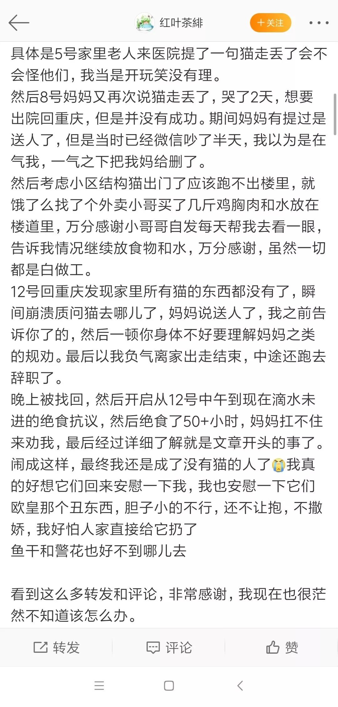 尋貓！網友媽媽趁她住院，偷偷把養了三年的貓500塊錢賣了！ 寵物 第5張