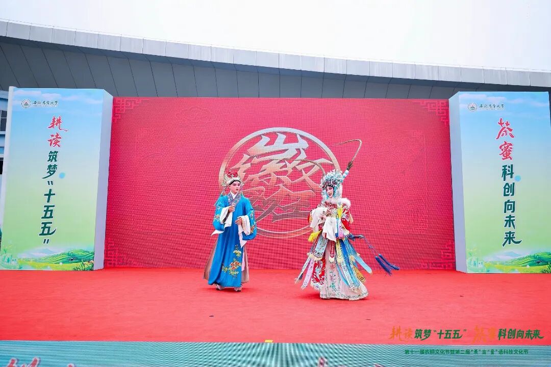 Z_PP7821-opq4625315579.jpg