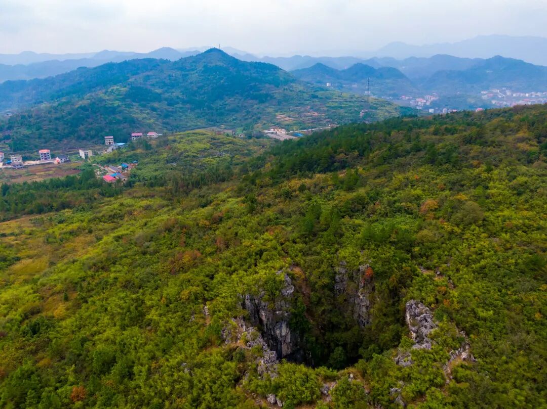 白首方悔读书迟的上一句是什么_白首方悔读书迟上_白首方悔读书迟作文800