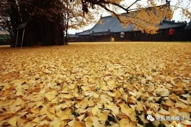 出现这4个迹象，说明你正在变得富有！