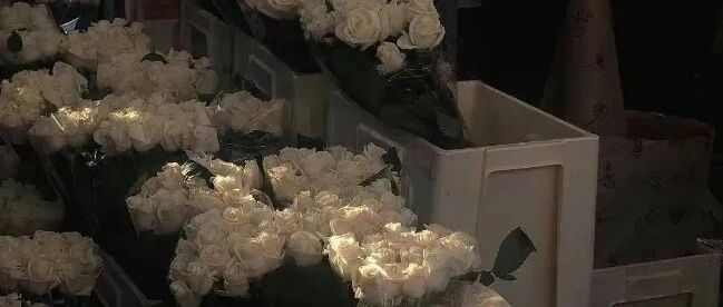 文案 || “挑一句，去微信置顶吧”