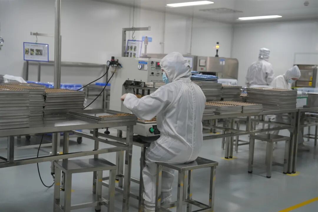 医疗器械怎么跑【突破突围开新局】微度医疗：在三大赛道上跑出“新”优势_https://www.jmylbn.com_新闻资讯_第3张