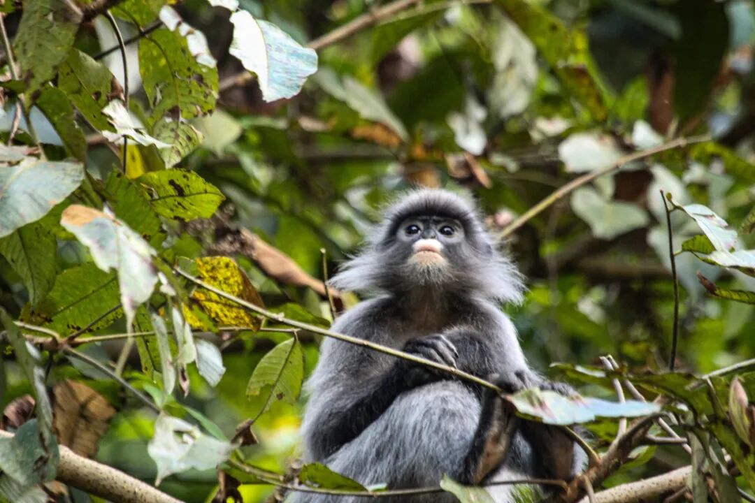 云南广播电视台(微信)