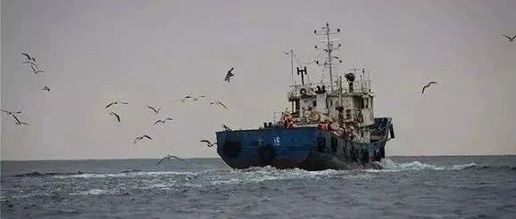 獐子岛“岛主”吴厚刚的起浮人生