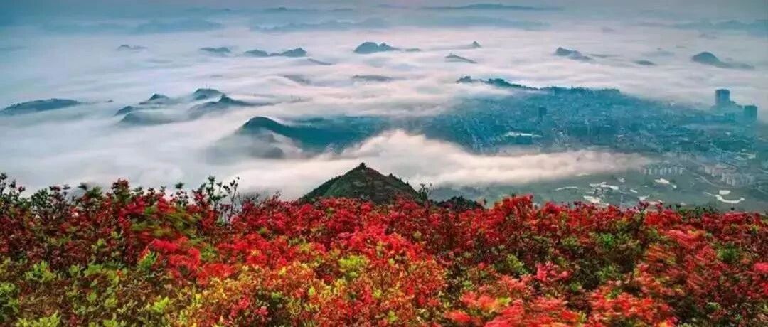 你想不花1分钱就跟全球知名摄影大师学创作吗？来这儿