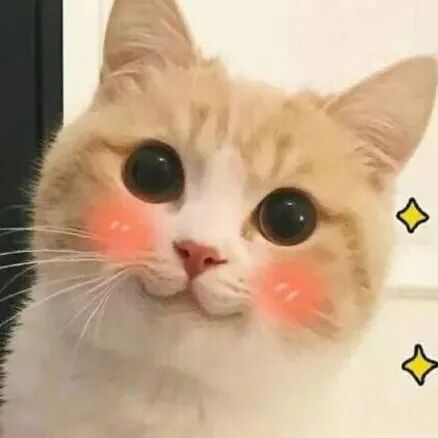 东莞“安全云平台”正式上线