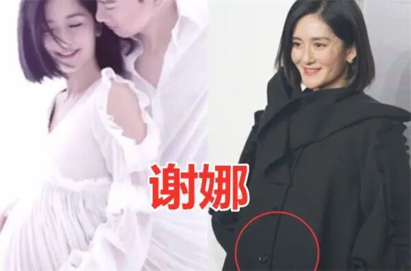 原形毕露 : 谢娜的孕照，baby的孕照，唐嫣的孕照，看到赵