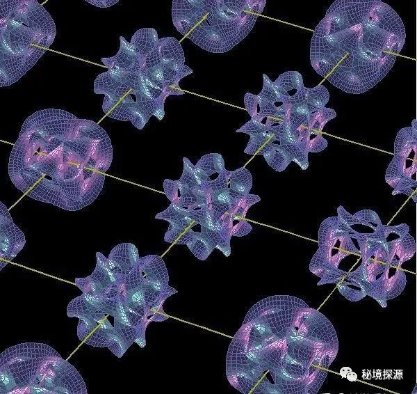 世间生物皆有灵_生物有灵性_生灵包括动物吗