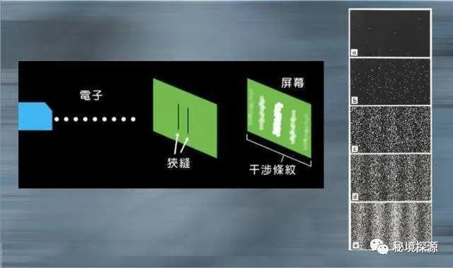 生灵包括动物吗_世间生物皆有灵_生物有灵性