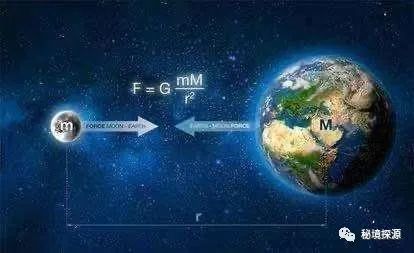 生灵包括动物吗_生物有灵性_世间生物皆有灵