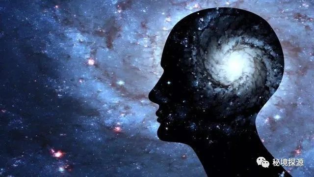 世间生物皆有灵_生物有灵性_生灵包括动物吗