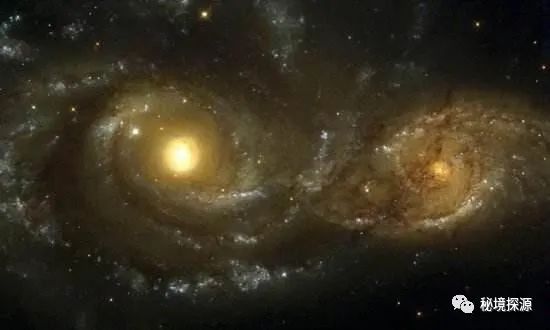 世间生物皆有灵_生物有灵性_生灵包括动物吗