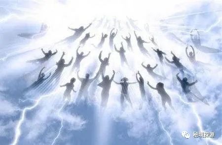 世间生物皆有灵_生物有灵性_生灵包括动物吗