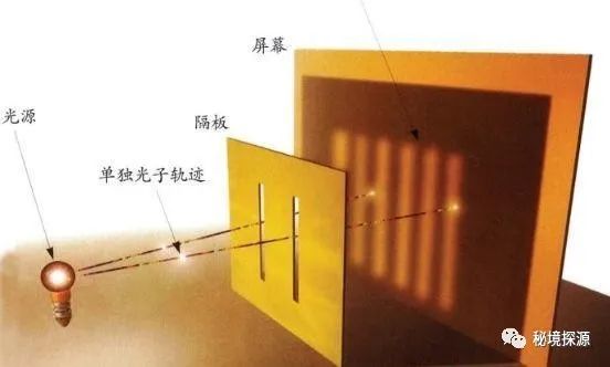 生灵包括动物吗_世间生物皆有灵_生物有灵性