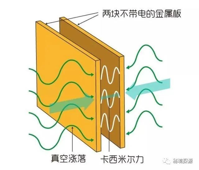 世间生物皆有灵_生灵包括动物吗_生物有灵性