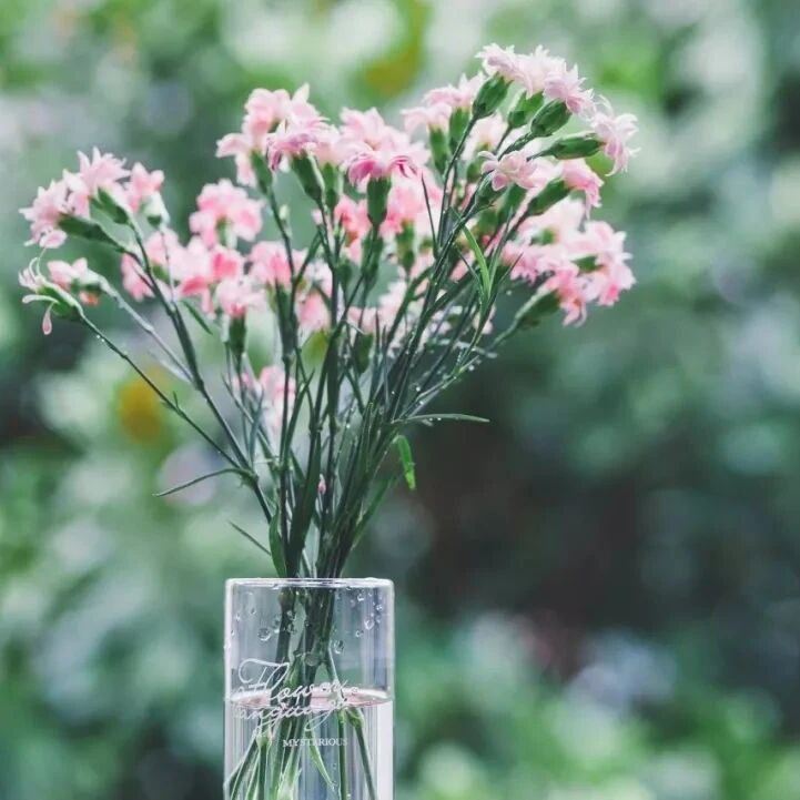 百句名言，回顾党史100年