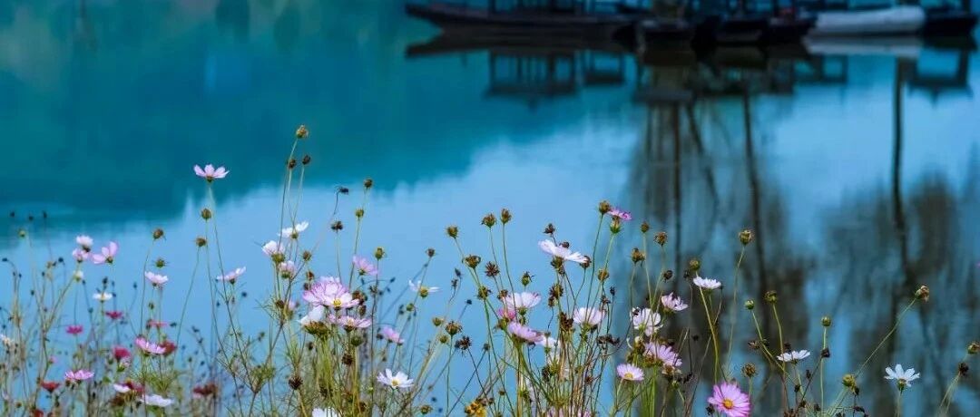 断舍离日常清单