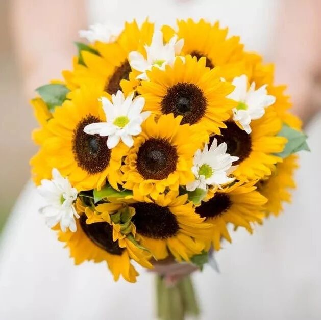 今天情人节    写给自己的情书