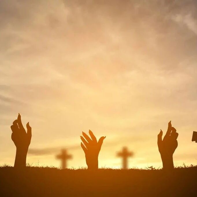 活着    总要相信些什么