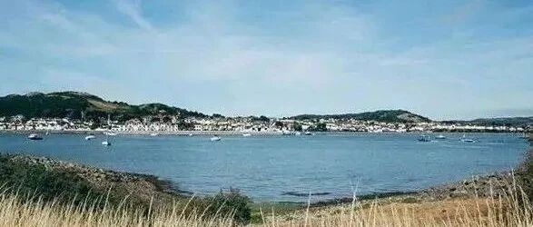 一种人生一感悟