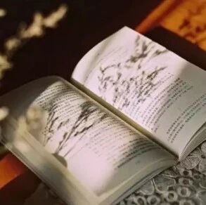 一生的三大幸事