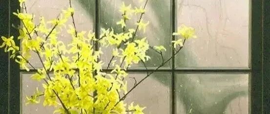 来生  依旧等你