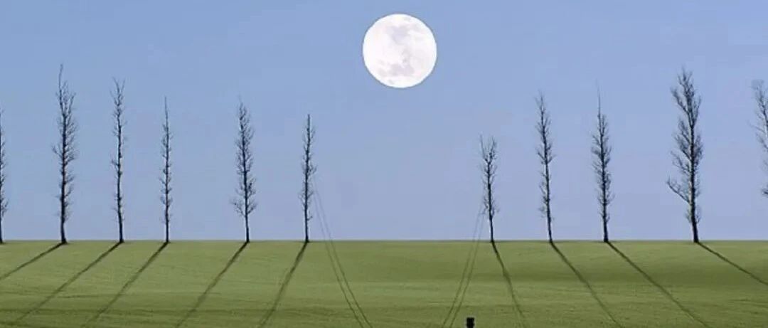 真正聪明的人    都放弃了这四种社交