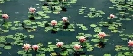 五十六首养生音乐