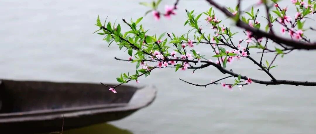 因过竹院逢僧话 偷得浮生半日闲