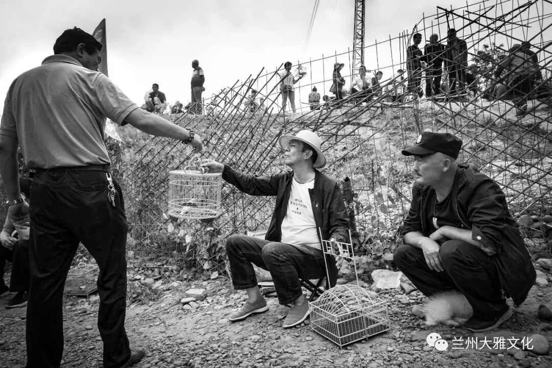 刘恩科镜头里的金城烟火