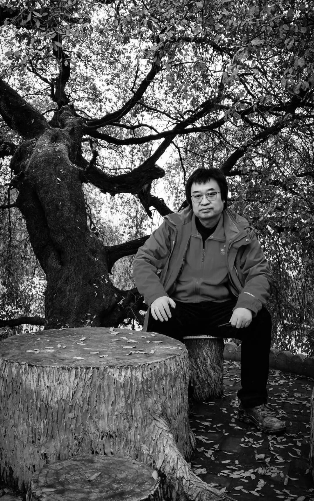 大美陇原张宪文实相无相花鸟画主观意态拓展研究妙音树魂