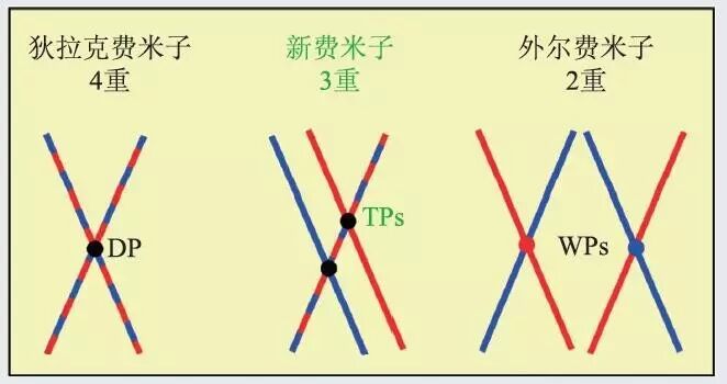 费米子家族新成员 突破传统分类的三重简并费米子的实验发现 自由微信 Freewechat