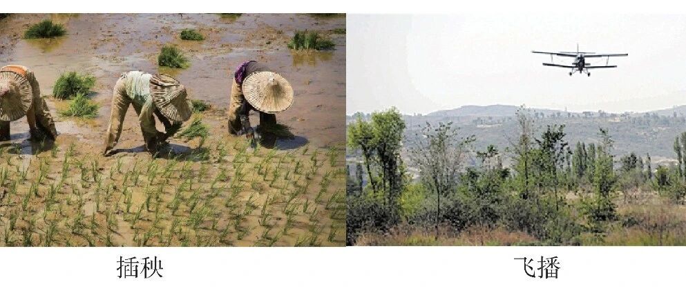 创新与普及两翼齐飞，科普与科教同频共振