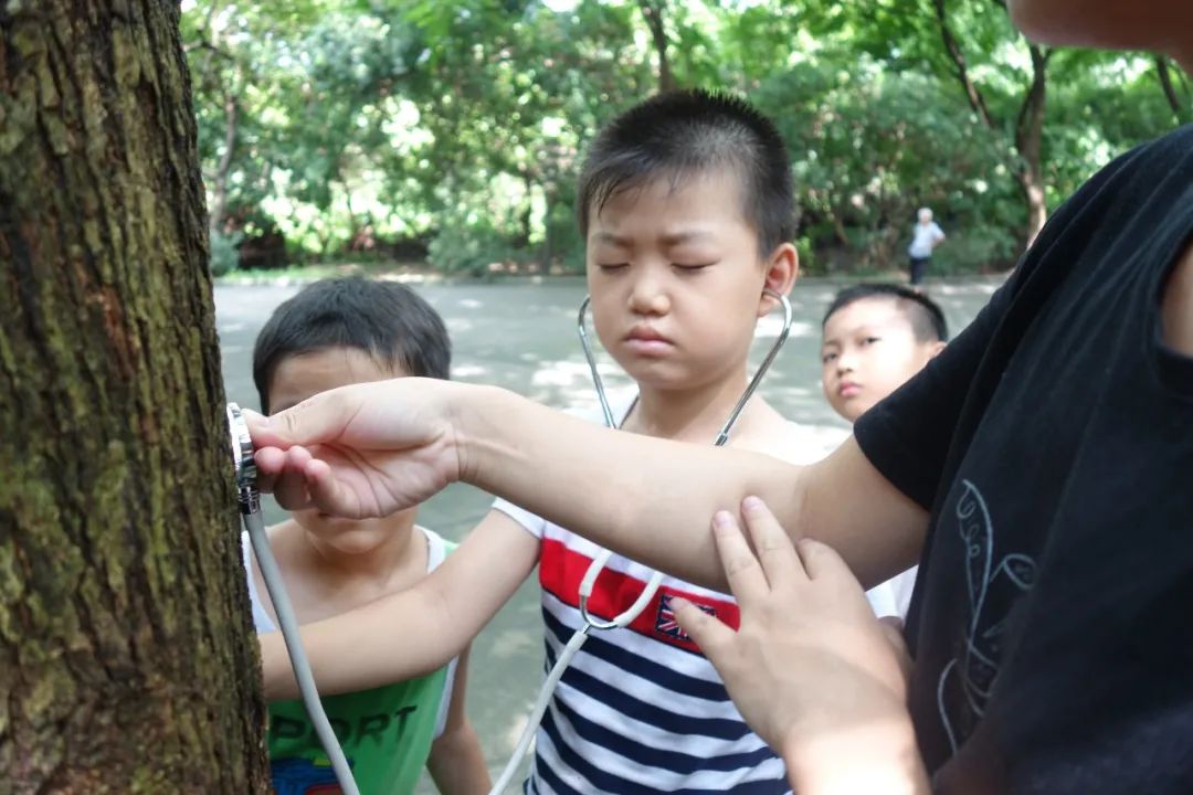 适合毕业大学生创业项目_大学生毕业创业项目县城_小学毕业创业项目